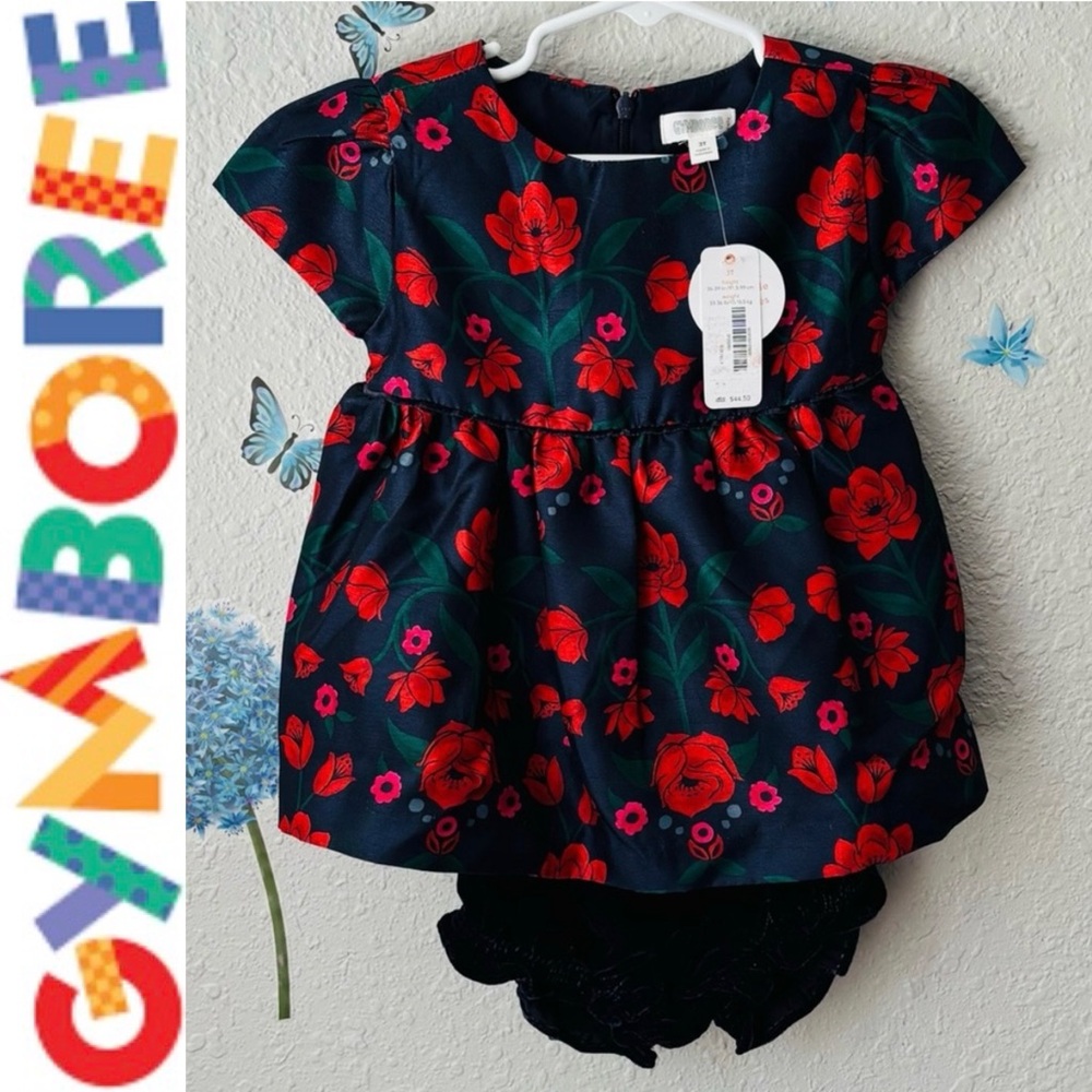 βοΈπΉ Toddler Formal Dress 2 Piece Gymboree - Picture 1 of 16